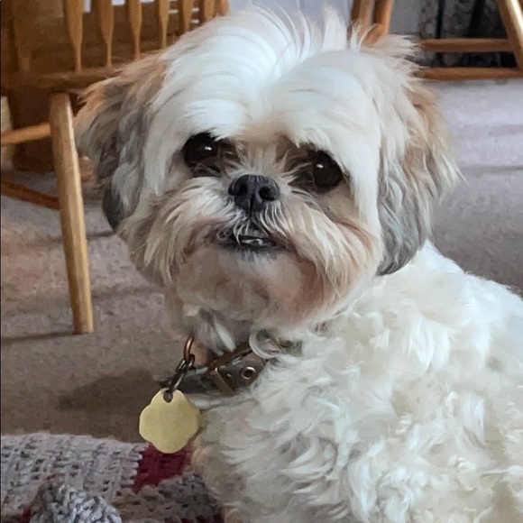 Meet your Posher, Leslie - Picture 1 of 1